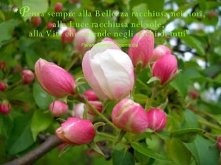 “ P ensa sempre alla Bellezza racchiusa nei fiori, alla Luce racchiusa nel sole,  alla Vita che splende negli occhi di tutti” Paramahansa Yogananda 