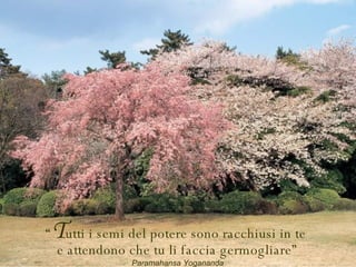 “ T utti i semi del potere sono racchiusi in te  e attendono che tu li faccia germogliare” Paramahansa Yogananda 