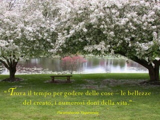 “ T rova il tempo per godere delle cose – le bellezze del creato, i numerosi doni della vita.” Paramahansa Yogananda 