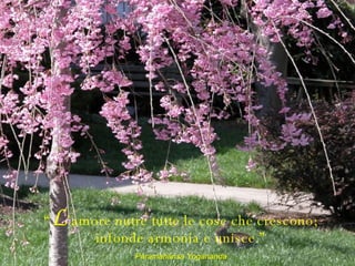 “ L ’amore nutre tutte le cose che crescono; infonde armonia e unisce.” Paramahansa Yogananda 