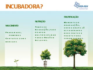 INCUBADORA? NASCIMENTO Fragilidade, primeiros  Contatos com o mercado . NUTRIÇÃO Tempo de Incubação, fase de apoio multidisciplinar para o Negócio Inclusivo. FRUTIFICAÇÃO Momento de graduação, onde o grupo já esta gerando bons frutos e pronto para seguir sozinho. 