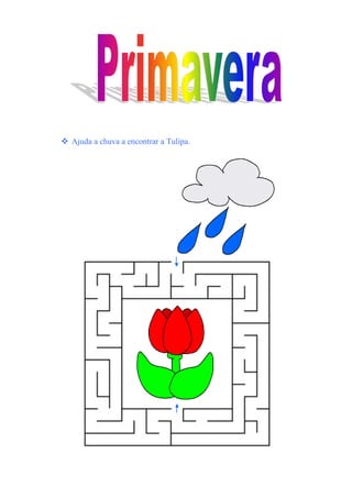 Ajuda a chuva a encontrar a Tulipa.
 