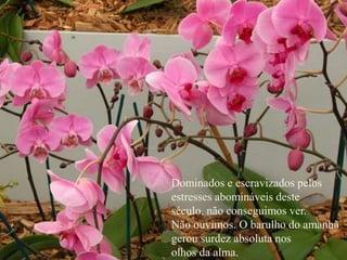 Dominados e escravizados pelos
estresses abomináveis deste
século, não conseguimos ver.
Não ouvimos. O barulho do amanhã
gerou surdez absoluta nos
olhos da alma.
 