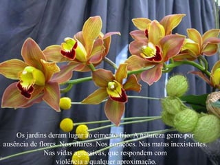 Os jardins deram lugar ao cimento frio. A natureza geme por
ausência de flores. Nos altares. Nos corações. Nas matas inexistentes.
Nas vidas agressivas, que respondem com
violência a qualquer aproximação.
 