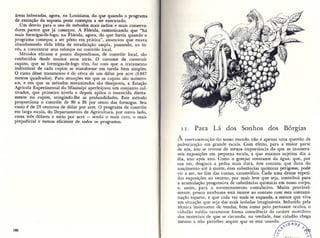 Primavera silenciosa 7