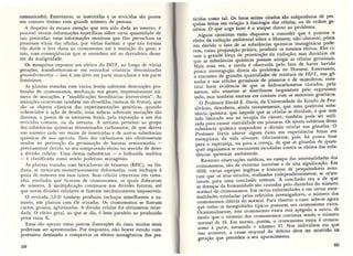 Primavera silenciosa 8