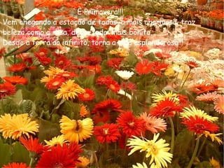 È Primavera!!!
Vem chegando a estação de todas, a mais charmosa, traz
beleza como a rosa, deixa tudo mais bonito,
Desde a terra ao infinito, torna a vida esplendorosa!!!
 