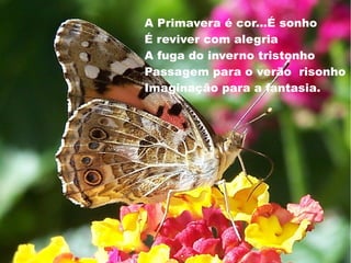 A Primavera é cor...É sonho
É reviver com alegria
A fuga do inverno tristonho
Passagem para o verão risonho
Imaginação para a fantasia.
 