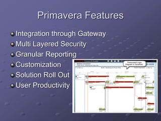 Primevera Program Primavera software | PPTX