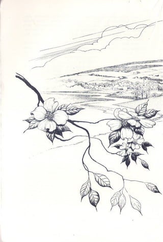 Primavera ssilenciosa rachel carson