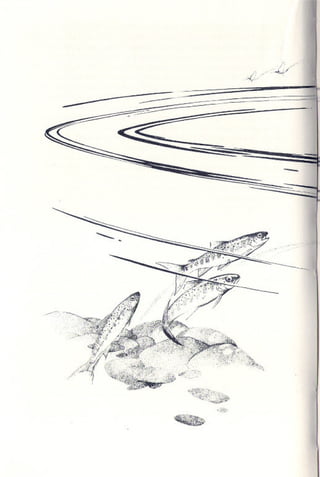 Primavera ssilenciosa rachel carson