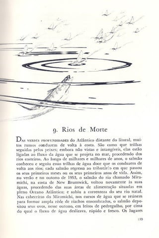 Primavera ssilenciosa rachel carson