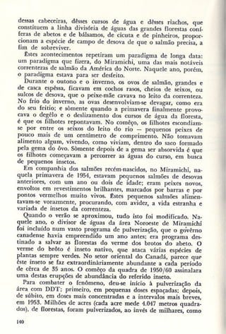 Primavera ssilenciosa rachel carson