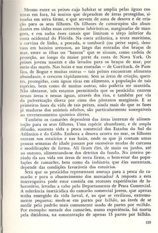 Primavera ssilenciosa rachel carson