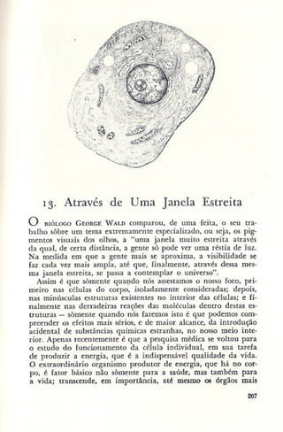 Primavera ssilenciosa rachel carson