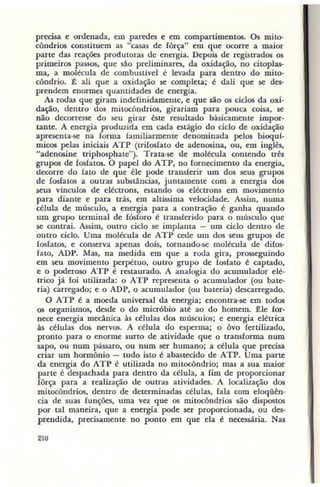 Primavera ssilenciosa rachel carson