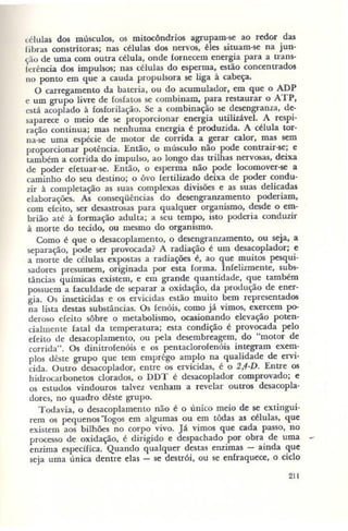 Primavera ssilenciosa rachel carson