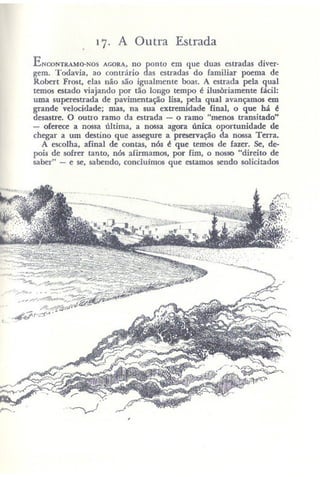 Primavera ssilenciosa rachel carson