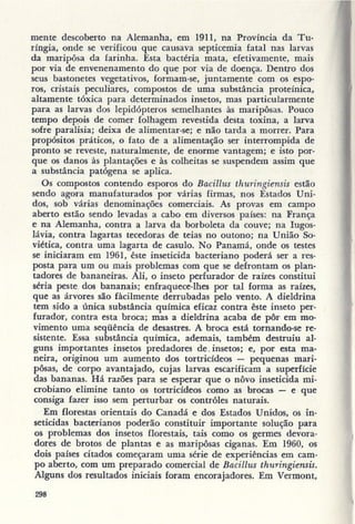 Primavera ssilenciosa rachel carson