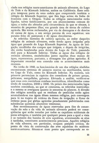 Primavera ssilenciosa rachel carson