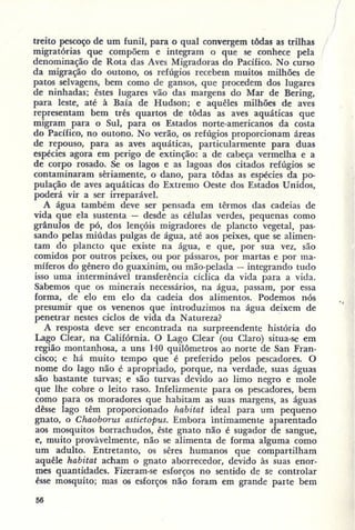 Primavera ssilenciosa rachel carson