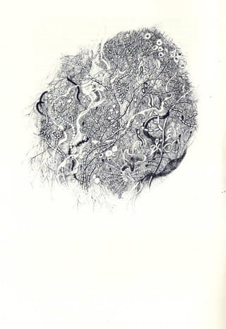 Primavera ssilenciosa rachel carson