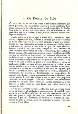 Primavera ssilenciosa rachel carson