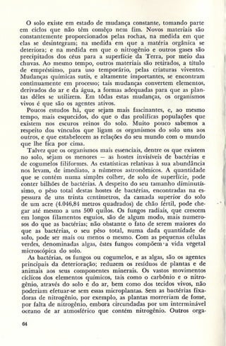 Primavera ssilenciosa rachel carson