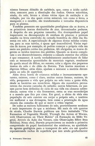 Primavera ssilenciosa rachel carson