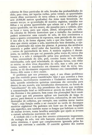 Primavera ssilenciosa rachel carson