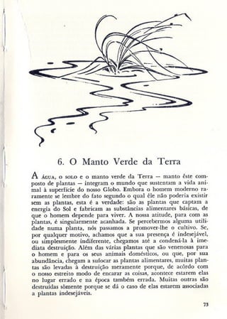 Primavera ssilenciosa rachel carson