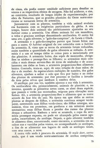 Primavera ssilenciosa rachel carson