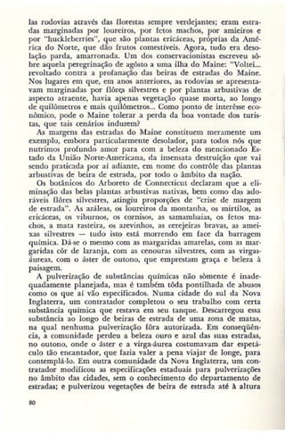 Primavera ssilenciosa rachel carson