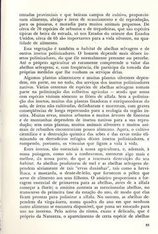 Primavera ssilenciosa rachel carson