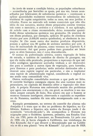 Primavera ssilenciosa rachel carson