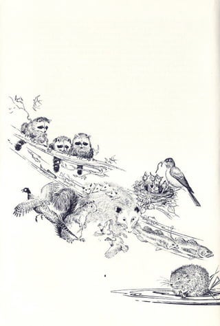 Primavera ssilenciosa rachel carson