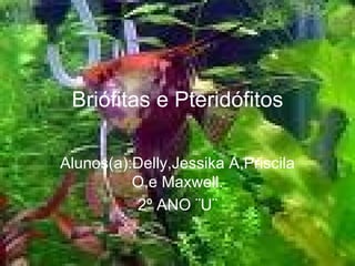 Briófitas e Pteridófitos Alunos(a):Delly,Jessika A,Priscila O,e Maxwell. 2º ANO ¨U¨ 