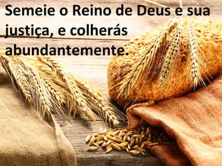 Semeie o Reino de Deus e sua
justiça, e colherás
abundantemente.
 