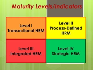 Maturity Levels/Indicators
Level I
Transactional HRM
Level II
Process-Defined
HRM
Level IV
Strategic HRM
Level III
Integrated HRM
 