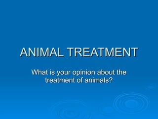 ANIMAL TREATMENT What is your opinion about the treatment of animals? 