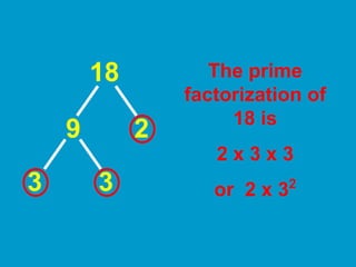 Prime Factorization