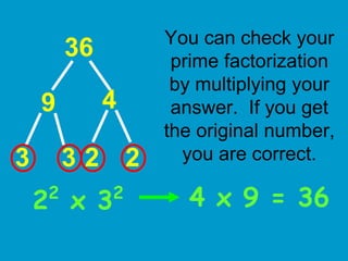 Prime Factorization