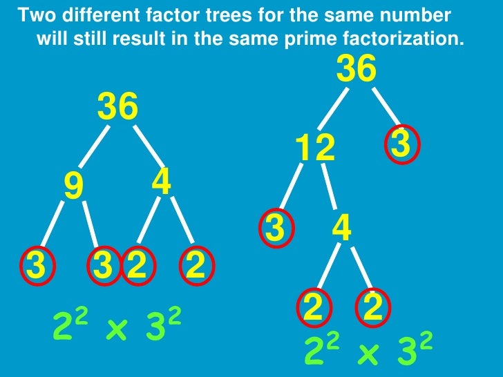 What Is The Prime Factorization Of 22 Prime Factorization