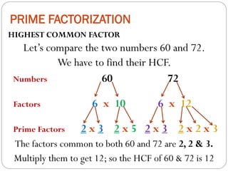 Mathematics for Grade 6: Prime Factorization - HCF | PPT
