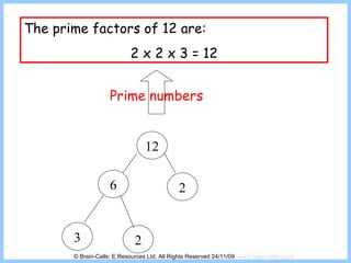 Prime Factors | PPT