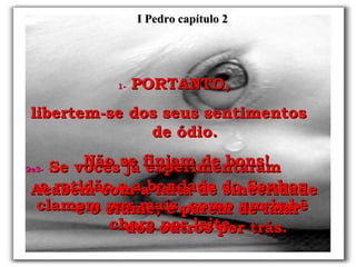 2e3-   Se vocês já experimentaram  a retidão e a bondade do Senhor clamem por mais, como um bebê chora por leite. 1-   PORTANTO,  libertem-se dos seus sentimentos  de ódio. Não se finjam de bons! Acabem com a falta de sinceridade  e o ciúme, e parem de falar  dos outros por trás. I Pedro capítulo 2 