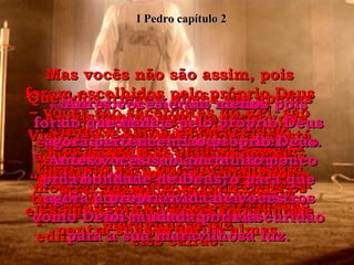 “ Eis que Eu estou enviando Cristo para ser a preciosa pedra de esquina da minha igreja, cuidadosamente escolhida, e Eu nunca decepcionarei aqueles que confiam nele”. 7-   Sim, Ele é muito precioso para vocês, os que crêem;  e para aqueles que o rejeitam, ora, “a mesma pedra que foi rejeitada pelos construtores tornou-se a pedra de esquina, a parte mais importante do edifício”. 8-   E as Escrituras dizem também: “ Ele é a pedra sobre a qual alguns tropeçarão, e a rocha  que os fará cair”. Eles tropeçarão porque não atenderão à palavra de Deus,  nem lhe obedecerão, e, portanto, este castigo deverá vir como conseqüência:  eles cairão. I Pedro capítulo 2 Mas vocês não são assim, pois foram escolhidos pelo próprio Deus – vocês são sacerdotes do Rei, são santos e puros, pertencem ao próprio Deus –  tudo isto para que vocês possam mostrar aos outros como Deus os chamou da escuridão para a sua maravilhosa luz. Antes vocês eram menos do que nada;  agora pertencem ao próprio Deus.  Antes vocês sabiam muito pouco da bondade de Deus, agora a própria vida de vocês foi mudada por ela. Queridos irmãos, vocês são apenas visitantes aqui na terra. Visto que o seu verdadeiro lar está no céu, eu lhes suplico que se afastem dos prazeres malignos deste mundo;  eles não são para vocês, pois lutam contra suas próprias almas. 9-  Mas vocês não são assim, pois foram escolhidos pelo próprio Deus – vocês são sacerdotes do Rei, são santos e puros, pertencem ao próprio Deus – tudo isto para que vocês possam mostrar aos outros como Deus os chamou da escuridão para a sua maravilhosa luz. 10-  Antes vocês eram menos  do que nada;  agora pertencem ao próprio Deus. Antes vocês sabiam muito pouco da bondade de Deus;  agora a própria vida de vocês  foi mudada por ela. 