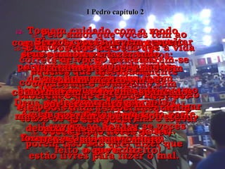 12-   Tomem cuidado com o modo como vocês se comportam entre seus semelhantes não salvos; porque assim, mesmo que eles desconfiem e falem mal de vocês, acabarão louvando a Deus pelas boas obras de vocês, quando Cristo voltar. 13-  Pelo amor que vocês têm ao Senhor, obedeçam a todas  as leis do governo;  aquelas que são do rei,  como chefe de Estado,  14-  e aquelas que são dos oficiais do rei, pois ele os enviou para castigar todos os que fazem o mal e louvar aqueles que fazem o bem. 15-  É da vontade de Deus que a vida correta de vocês faça calarem-se aqueles que insensatamente condenam o Evangelho sem saberem o que ele pode fazer por eles, pois nunca experimentaram o seu poder. 16-  Vocês estão livres da lei,  porém isso não quer dizer que estão livres para fazer o mal. Vivam como aqueles que são livres para fazer somente  a vontade de Deus em todas  as ocasiões. 17-  Mostrem respeito para  com todos. Amem aos cristãos em toda parte. Temam a Deus e respeitem  o governo. 18-  Servos, vocês devem respeitar seus senhores e fazer tudo  o que eles mandarem;  não apenas se eles forem bondosos e justos, mas até mesmo se forem rudes e cruéis. 19-  Louvem ao Senhor se vocês forem castigados por terem  feito o que é direito! 20-  Naturalmente vocês não têm nenhum mérito em se conformarem se forem espancados por terem feito o mal;  mas, se fizerem o bem e sofrerem debaixo das pancadas,  Deus se agradará muito. I Pedro capítulo 2 