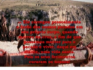 24-  Ele carregou pessoalmente o fardo dos nossos pecados em seu próprio corpo, quando morreu na cruz, a fim de que possamos morrer para o pecado e viver, daqui em diante, uma vida santa. Pois os seus ferimentos curaram os nossos! I Pedro capítulo 2 