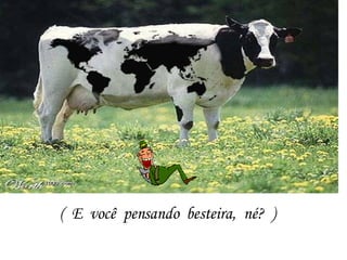 (  E  você  pensando  besteira,  né?  ) 